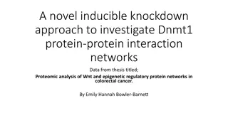 Investigating Protein-Protein Interactions in Colorectal Cancer