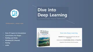 Deep Learning Convolutional Neural Networks Preliminaries