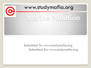 Marine Pollution - Causes, Impact, and Solutions