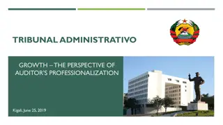Professionalization of Auditors in Tribunal Administrative Growth