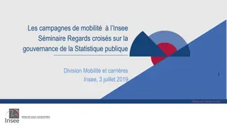Insights on INSEE's Mobility Campaigns and Public Statistics Governance