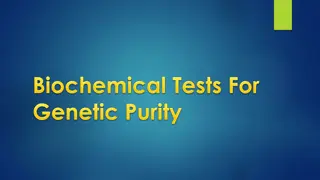 Genetic Purity Testing Techniques for Crop Varieties