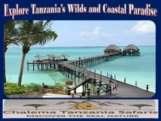Explore Tanzania’s Wilds and Coastal Paradise