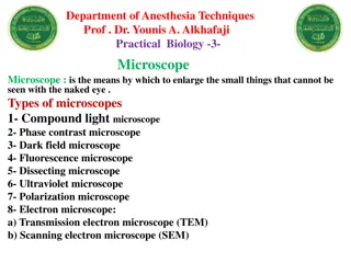 Microscope Types and Parts Explained