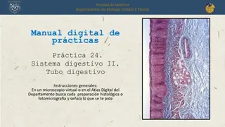 Histological Examination of Digestive System Organs
