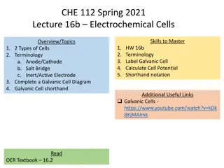 Mastering Electrochemical Cells: Overview, Terminology, Calculations & Practical Applications