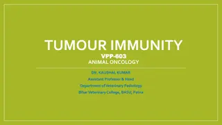 Tumour Immunity and Antigens in Cancer