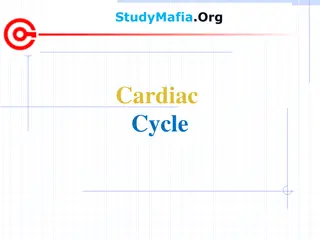 Cardiac Cycle