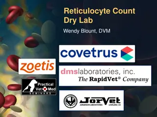 Reticulocyte Count in Canine and Feline Anemia