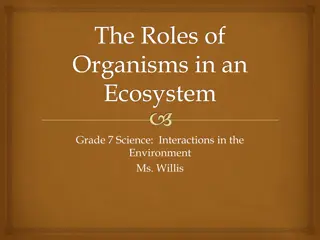 Organism Roles in Ecosystems: Producers, Consumers, Decomposers