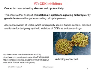 CDK Inhibitors in Cancer Cell Cycle Regulation