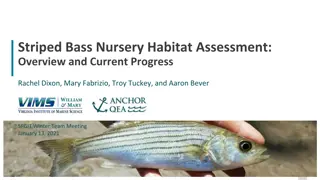 Striped Bass Nursery Habitat Assessment and Research Progress