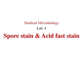 Medical Microbiology Lab Techniques: Spore Stain & Acid-Fast Stain