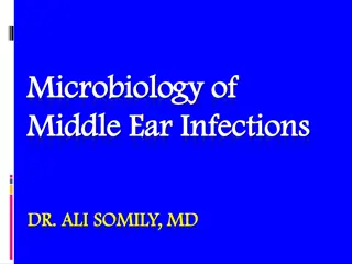 Middle Ear Infections: Overview, Classification, and Management