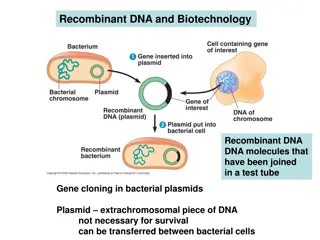Recombinant DNA Technology and Gene Cloning