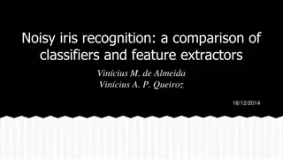 Noisy Iris Recognition: A Comparison of Classifiers and Feature Extractors