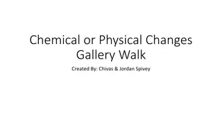 Chemical & Physical Changes Gallery Walk
