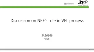 NEF's Role in VFL Process Discussion and Key Points