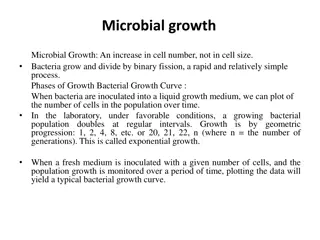 Bacterial Growth Phases and Dynamics