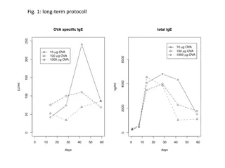 Immunoglobulin Titers in OVA-Sensitized BN Rats: Long-term vs. Short-term Protocol