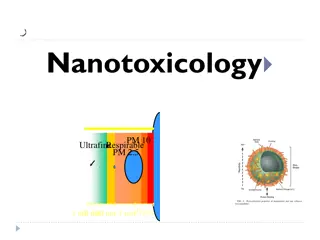 Nanotoxicology and Nanoparticles in Study