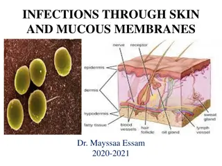 Infections Through Skin and Mucous Membranes Explained