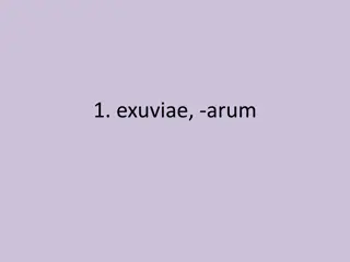 Latin Verbs and Their Meanings in Images