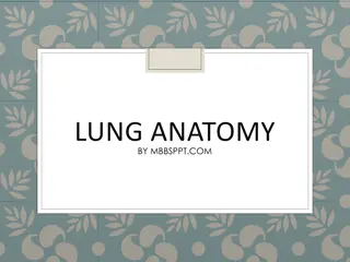 Overview of Lung Anatomy and Features