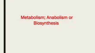 Microbial Energy Metabolism and Biosynthesis
