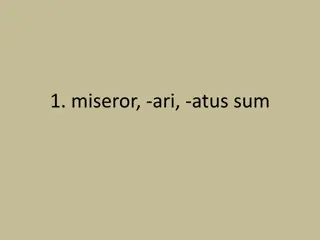 Latin Vocabulary - Learn Words and Meanings