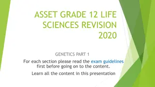 Genetics Fundamentals: Mendel's Discoveries and Inheritance Patterns