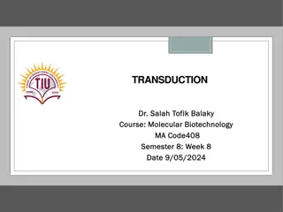 Bacterial Transduction in Molecular Biotechnology