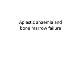 Aplastic Anemia, Pancytopenia, and Bone Marrow Failure