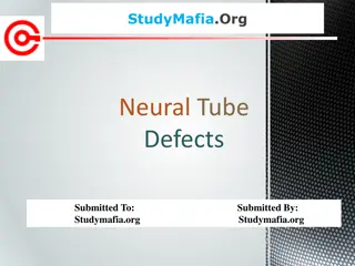 Neural Tube Defects: Overview and Management