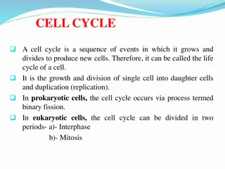 Cell Cycle: Growth, Division, and Regulation
