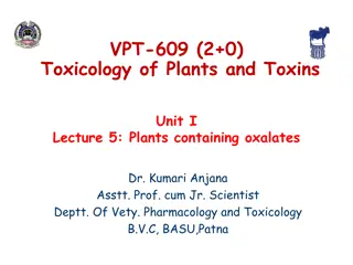 Plants Containing Oxalates: Toxicology and Mechanism of Toxicosis