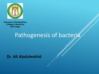 Bacterial Pathogenesis: Insights from College of Medicine