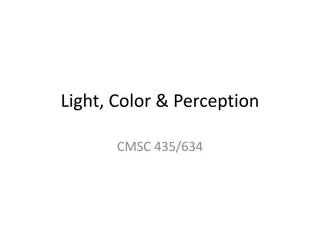 Light, Color, and Perception in CMSC 435/634 Course