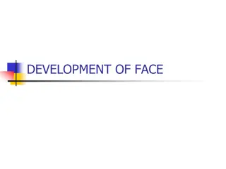 Development of Face