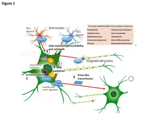 ALS: Mechanisms, Symptoms, and Management
