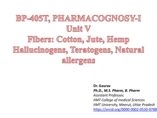 Fibers in Pharmacognosy: Cotton, Jute, Hemp and Their Uses
