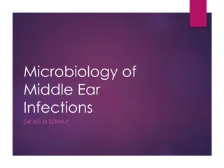 Microbiology of Middle Ear Infections and Otitis Media Overview