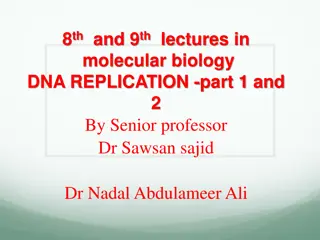 DNA Replication Process: Initiation, Elongation, Termination