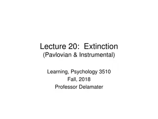 Extinction in Psychology: Process, Phenomena, and Significance