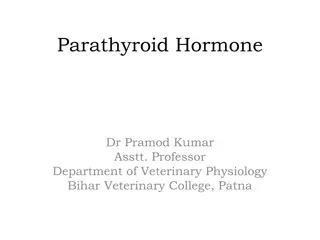 Parathyroid Hormone: Functional Anatomy and Regulation