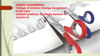 Cloning Vectors in Genetic Engineering