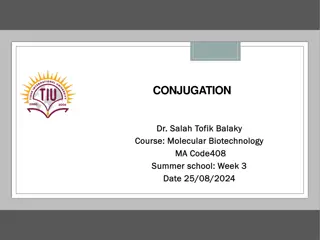 Bacterial Conjugation and Its Significance in Antibiotic Resistance