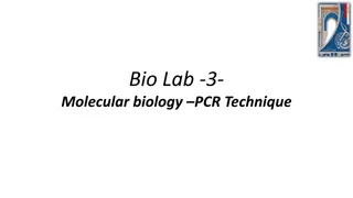 PCR in Molecular Biology Lab - Techniques and Applications