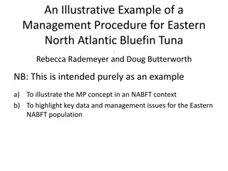 Eastern North Atlantic Bluefin Tuna Management Procedure Example