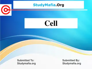 Cell Biology: Types, Characteristics, and Evolution